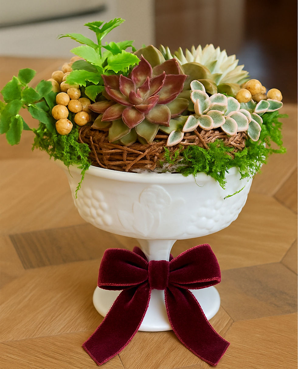 Holiday Succulent Workshop; Design and Create a Succulent 