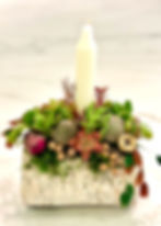 Holiday Succulent Birch Log Candle Arrangement @Spacecat Brewing Co.