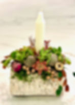 Holiday Glow; Succulent Birch Log Candle Arrangement.