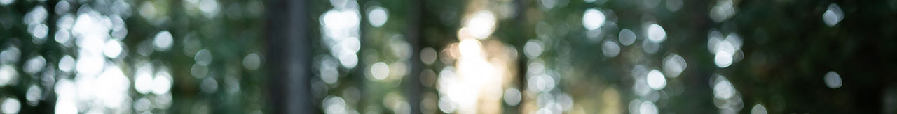 Dr. Maya Matthews, Naturopathic Doctor | Women's Health