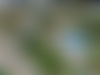 ¿Es posible construir tu casa campestre soñada de 100 m² con presupuesto inteligente? Números reales en Tolima y Cundinamarca