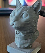 ninja cat bust .png