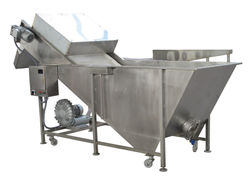 Fruit washing machine