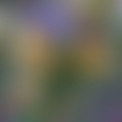 Throat Chakra Wounds - Afraid or unable to express your true thoughts