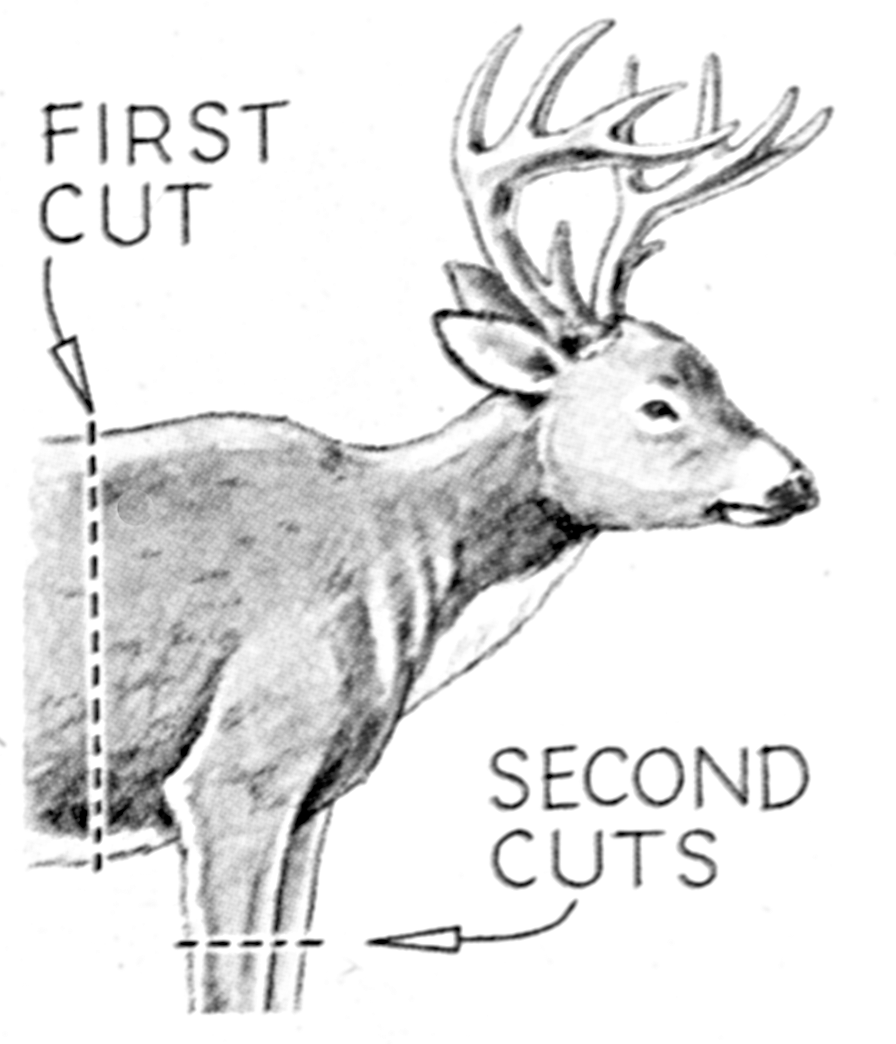deer1.gif