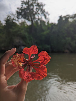 CYMERA_20230705_224617