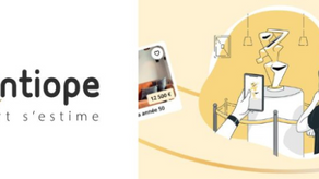 Lancement le 21/08/2025 de la version 100% gratuite d'Antiope- l'art s'estime 