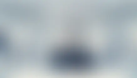 Why can the estimate of an art object for an auction be disappointing?