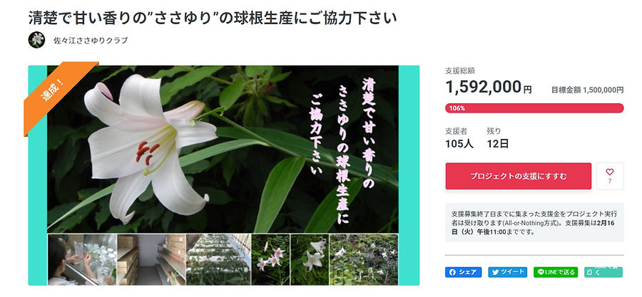 ささゆりクラブ Sasae ささゆりクラブ Sasae