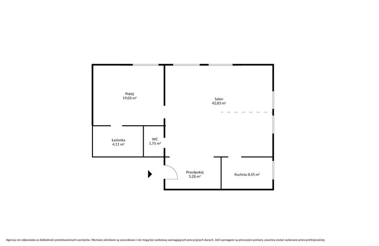 Rzut Konsttytucji.jpg