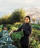 How to Convert Your Rooftop into a Garden