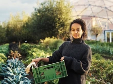 How to Convert Your Rooftop into a Garden