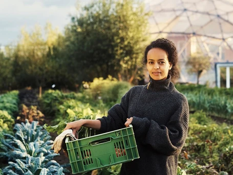 How to Convert Your Rooftop into a Garden