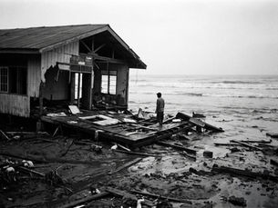 Climate Nomads: The Human Face of Environmental Collapse