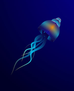 illustrator_Jellyfish.jpg