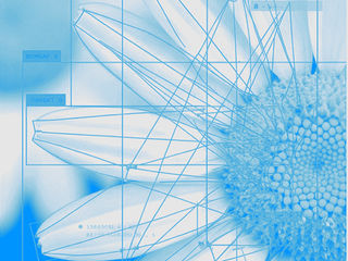 Quantum Computing's Impact on Neural Networks