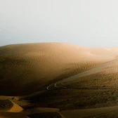 Biodiversidade, ameaças e riscos