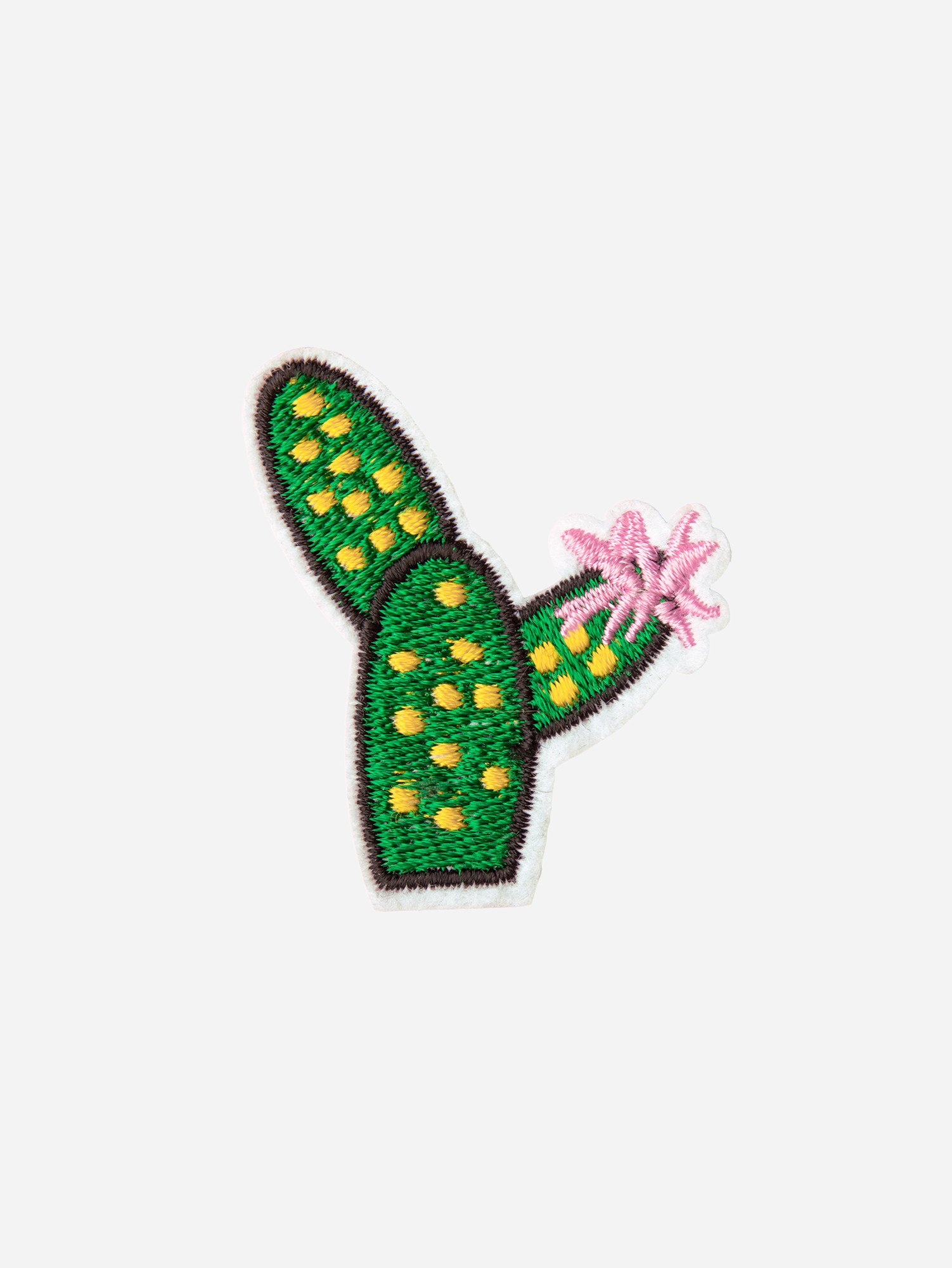 Cactus Patch
