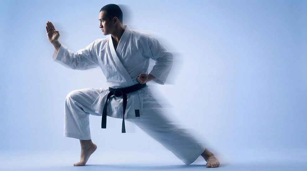 karate_man_res_edited.jpg