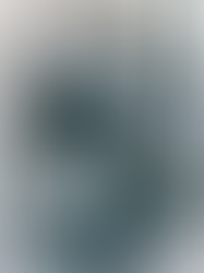 Anatomy of a Perfect Trench Coat