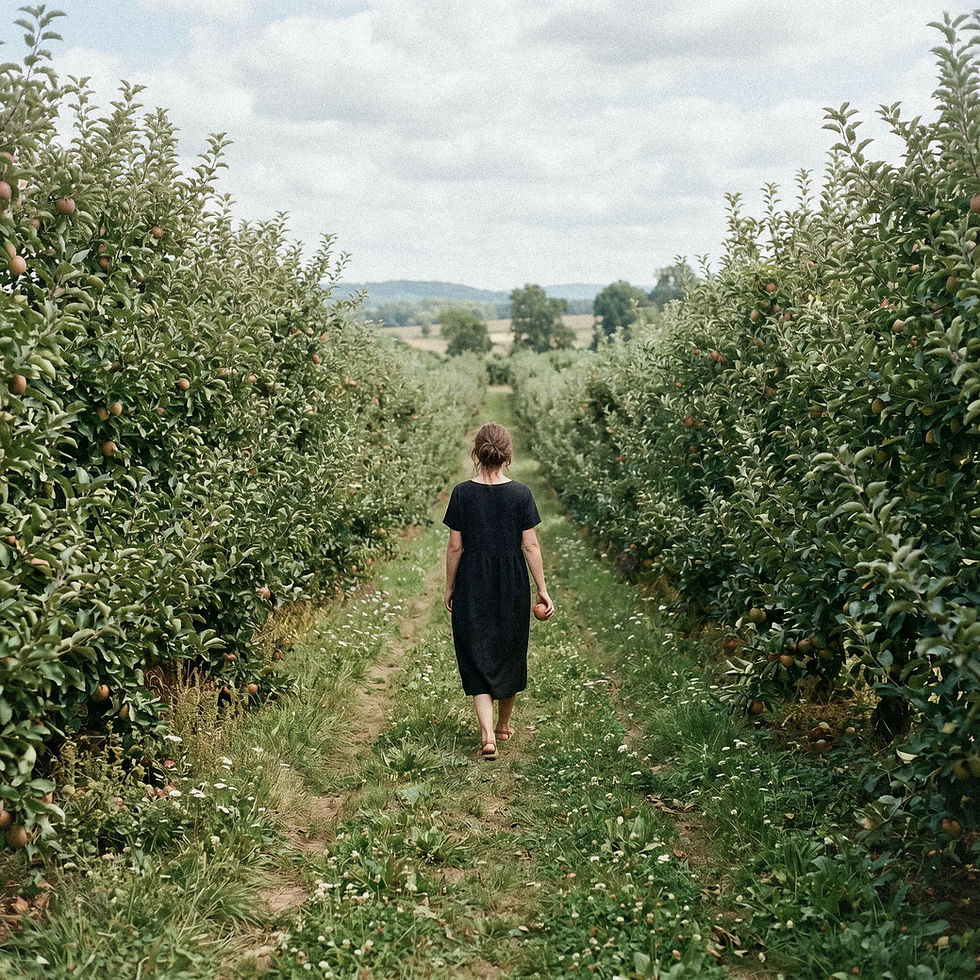 orchard