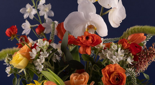 All Products Moon Atelier