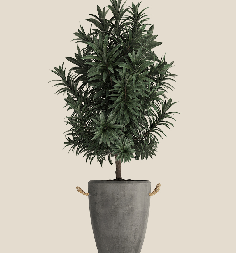 Green plant in gray pot with rope handles