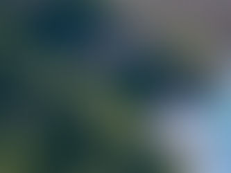 Revolutionizing Mobility: From Raw to Ready