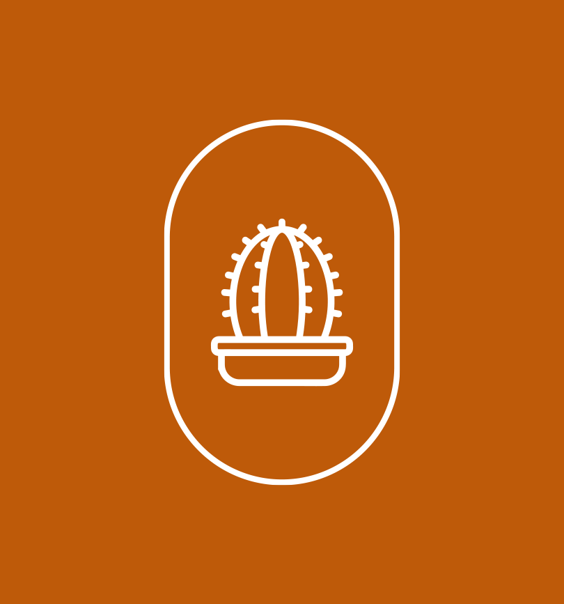 Cactus in pot: simple line drawing