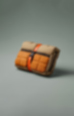 Laptop Case Orange