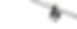New Age Digital background 