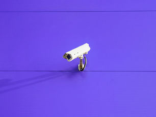 The Digital Panopticon: Who is Watching the Watchers?