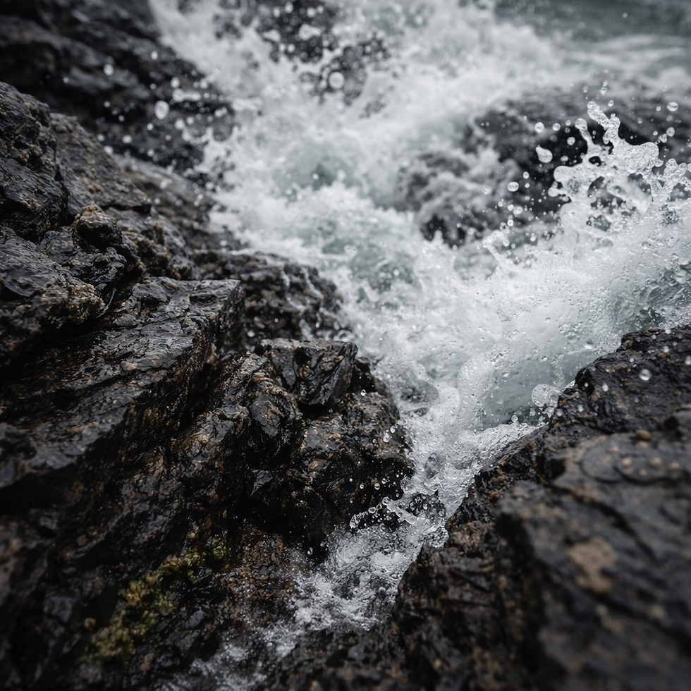 Coastal Whispers