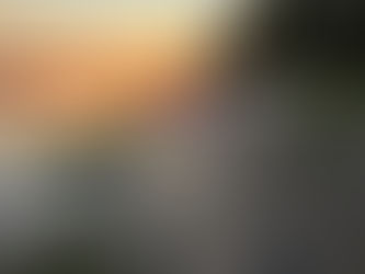 Sunrise on Tidewater Provincial Parl