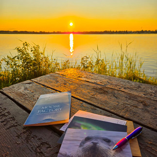 A picnic table with postcards and a pen, with the sun setting in the background