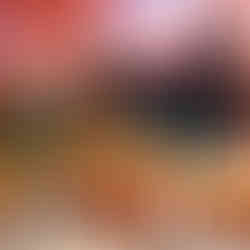 Beaver and bear furs