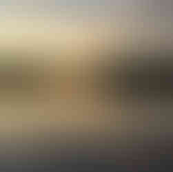 Sunrise over a lake, reflecting clouds and trees in the water