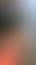 Buttertart with a small town streetscape in the background