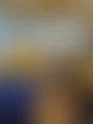 Water Taxi interior with benches lined with life jackets and a covered roof seating area