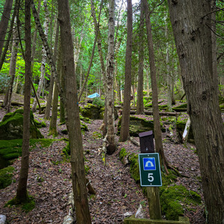 Tent site indicated with a sign saying "5" and a tent far up the hill