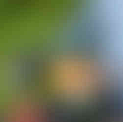 An MSR pocket rocket stove attached to a fuel canister with a pouch of Mushroom Fettucine, with a tent in the background