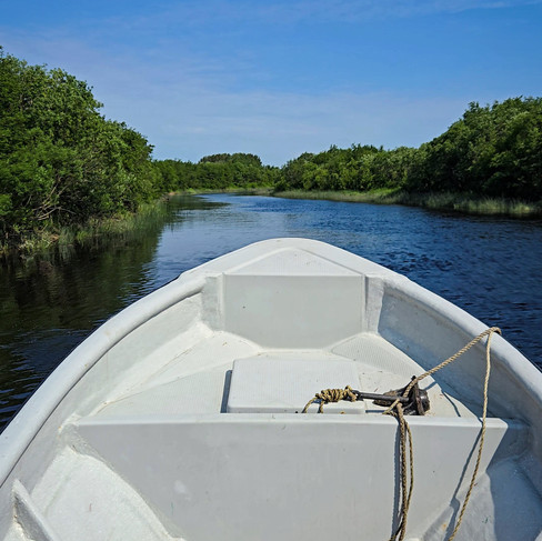 Boat Bow in a blue river with trees lining either side