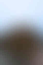 Port Elgin Library with classic architecture