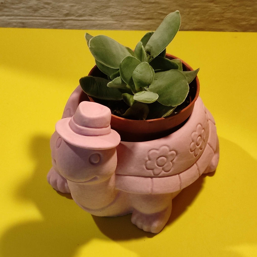 Miniature : Pot Tortue🐢