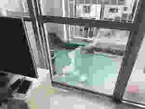 足立区 花畑 ガラス修理前