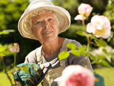 Gardening and Green Spaces in Retirement