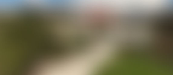 Maintaining a Beautiful Lawn