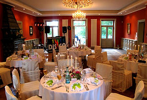 suche DJ für Hochzeit Villa Theresa Coswig