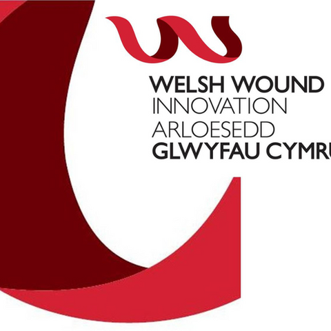 Welsh Wound Innovation Initiative