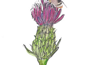 Illustratie op projectbasis